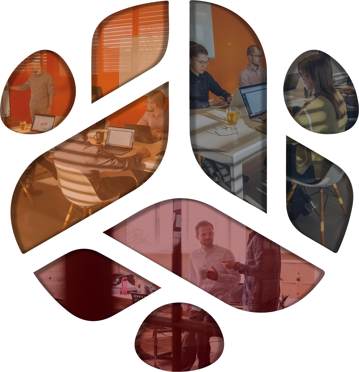 About Tropa - Our team working together to connect great companies with exceptional remote talent